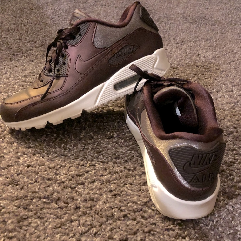 Nike Air Max Burgundy Metallic